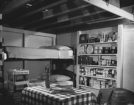 Retro~Fallout Shelter 57.jpg (35045 bytes)