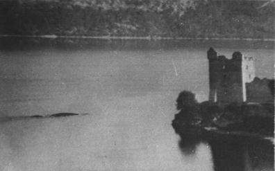 lochness2.jpg (11518 bytes)